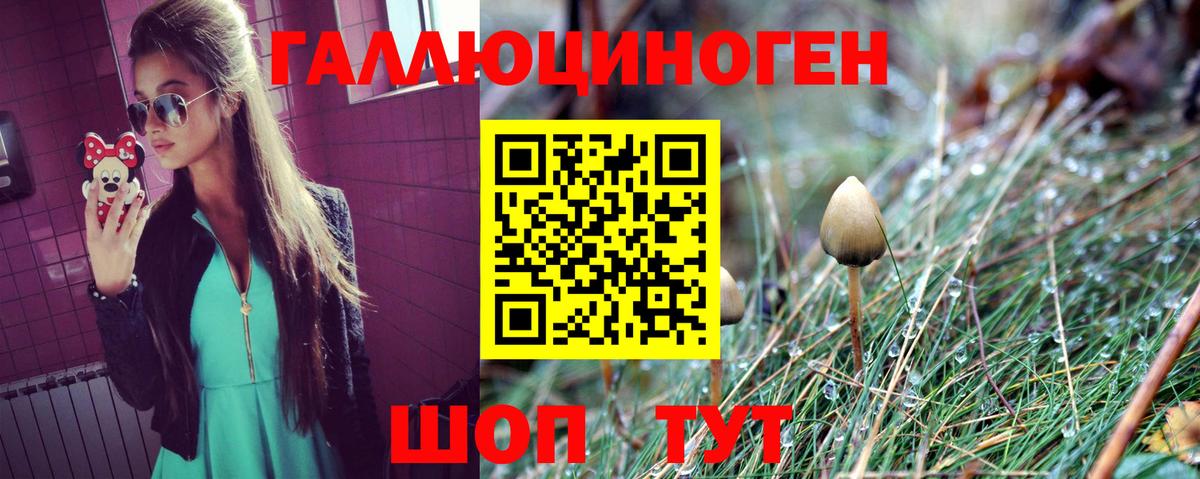 Галлюциногенные грибы Psilocybine cubensis  Вход с VPN  Заречный 