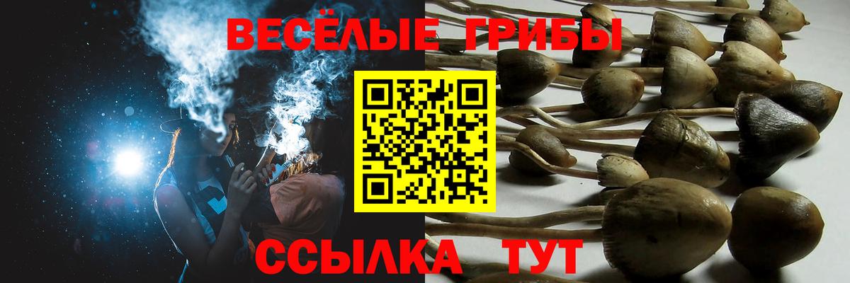 Псилоцибиновые грибы Psilocybine cubensis Заречный